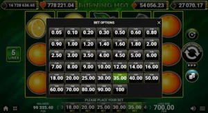Bet options menu in the Burning Hot slot showing selectable stake amounts, total bet values, and fixed paylines, illustrating how players adjust bet size before starting a spin.